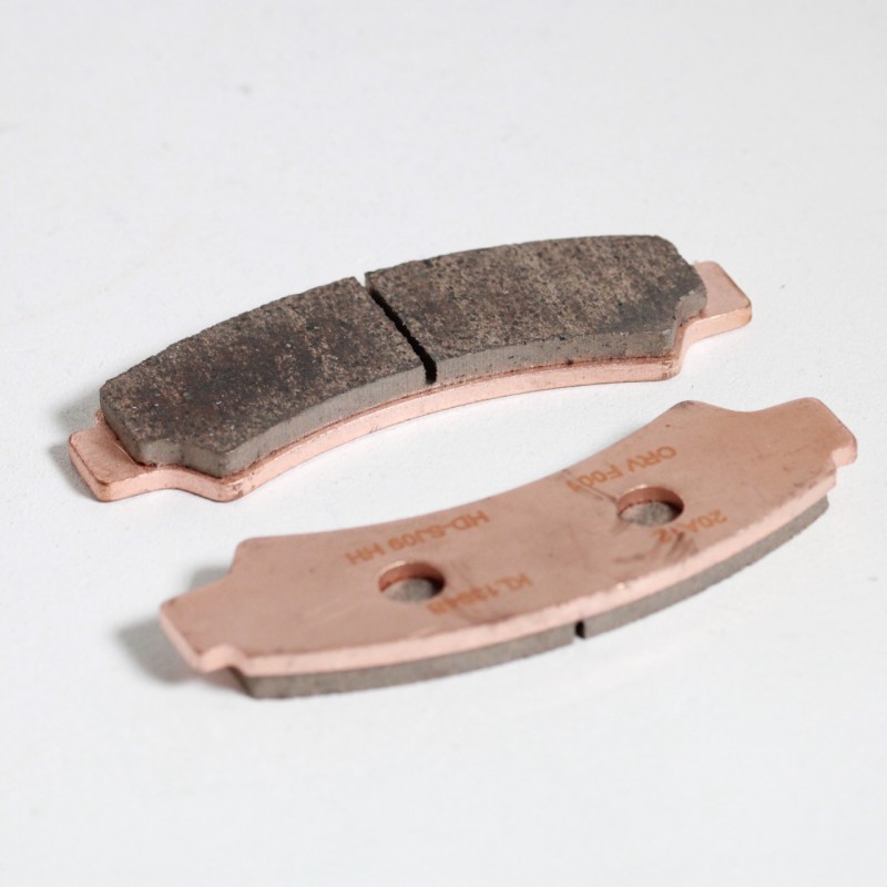 1698139844 סנרל 1.jpg