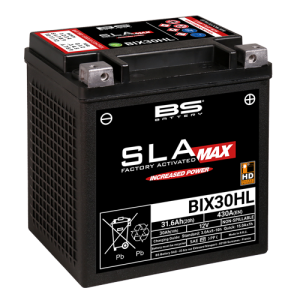 1705259573 Bix30.png